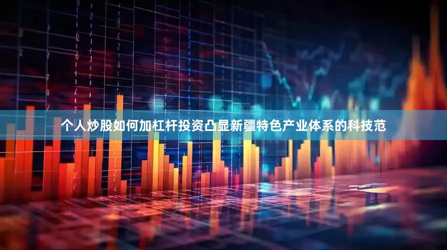 个人炒股如何加杠杆投资凸显新疆特色产业体系的科技范