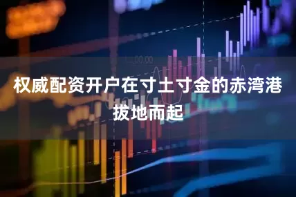 权威配资开户在寸土寸金的赤湾港拔地而起