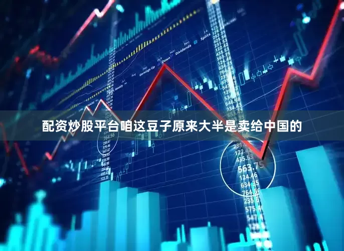 配资炒股平台咱这豆子原来大半是卖给中国的